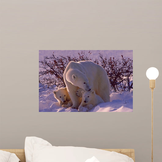 Polar bears in Canadian Arctic Wall Mural