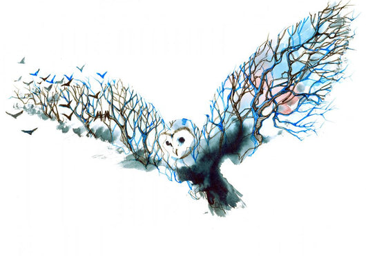 Watercolor Owl Wall Decal