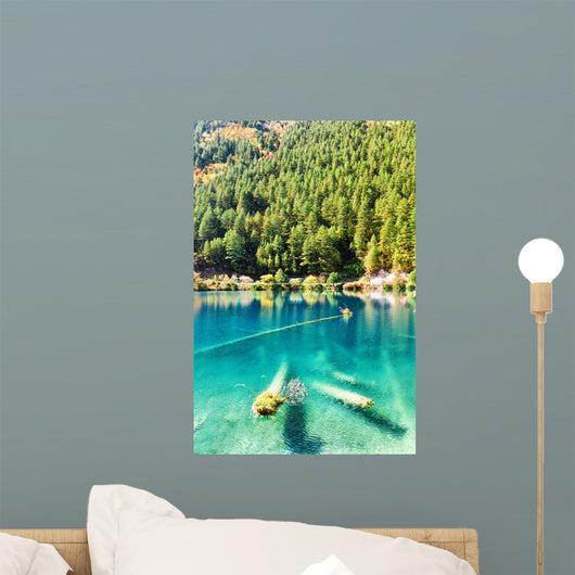 Fantastic azure water of lake with submerged tree trunks Wall Mural