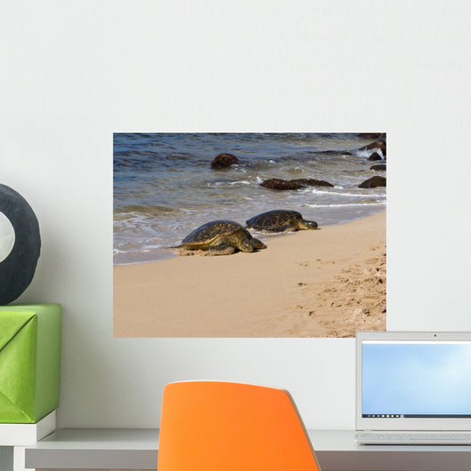 turtles on the beach Wall Mural