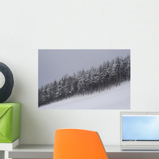 Snowy Forest Wall Mural