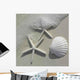 Sea Shell Wall Decal