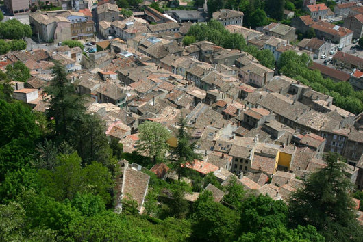 Les Toits Crest Wall Mural