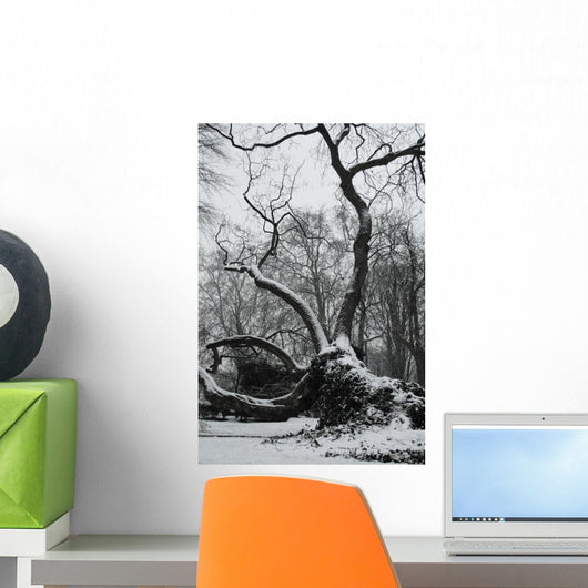 Arbre Wall Mural