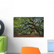 Large Southern Live Oak Wall Decal