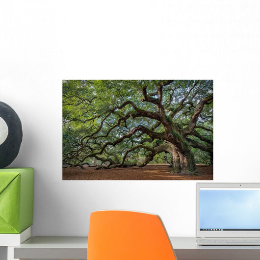 Large Southern Live Oak Wall Decal