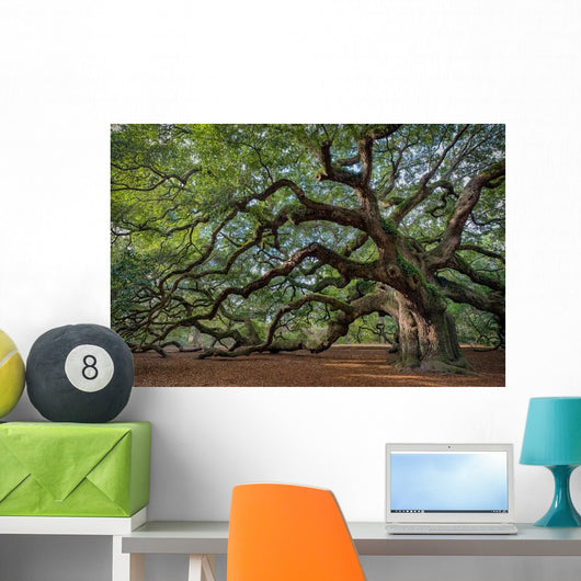 Large Southern Live Oak Wall Decal