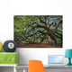 Large Southern Live Oak Wall Decal