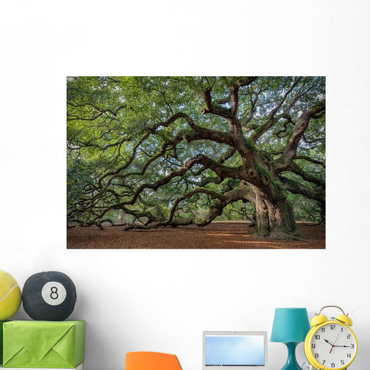 Large Southern Live Oak Wall Decal