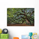 Large Southern Live Oak Wall Decal
