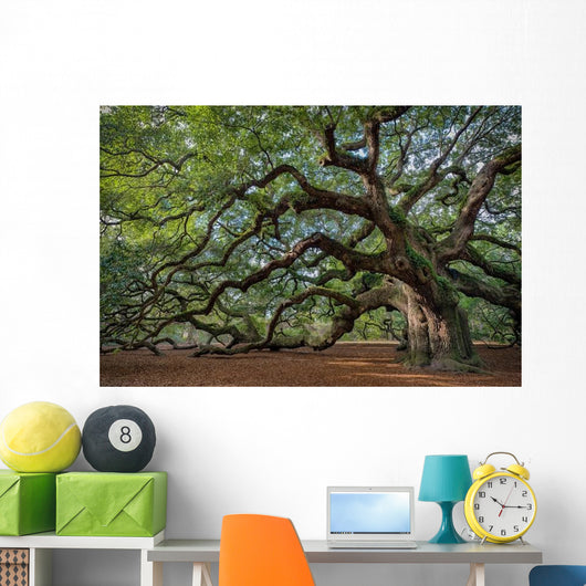 Large Southern Live Oak Wall Decal