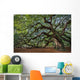 Large Southern Live Oak Wall Decal