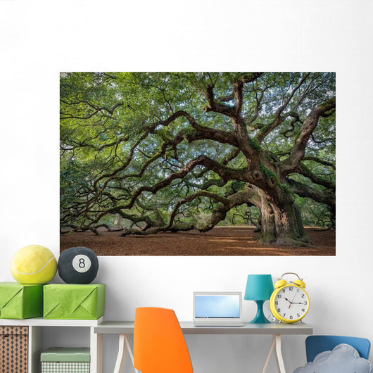 Large Southern Live Oak Wall Decal