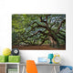 Large Southern Live Oak Wall Decal