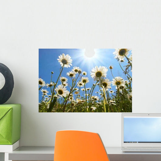 White Daisies Blue Sky Wall Decal Design 1