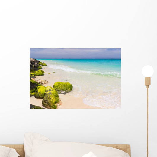 caribbean coast, Aruba Wall Mural