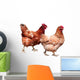 Hens White Wall Decal