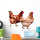 Hens White Wall Decal