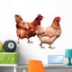 Hens White Wall Decal
