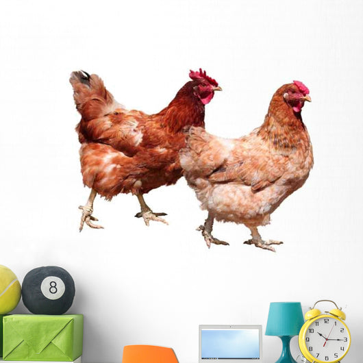 Hens White Wall Decal