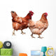 Hens White Wall Decal