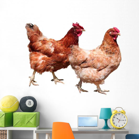 Hens White Wall Decal