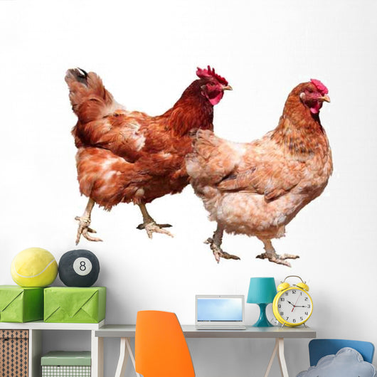 Hens White Wall Decal