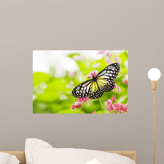 butterfly feeding on a flower Wall Mural