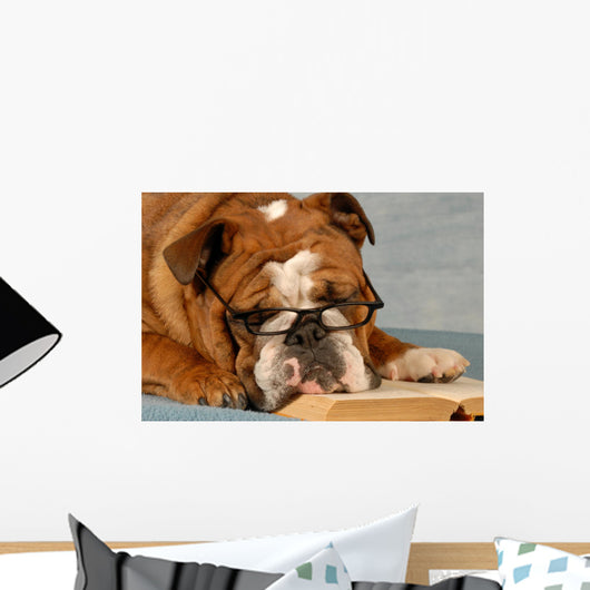 English bulldog reading Wall Mural