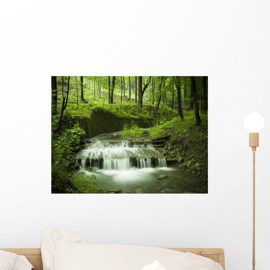 waterfall stream Wall Mural