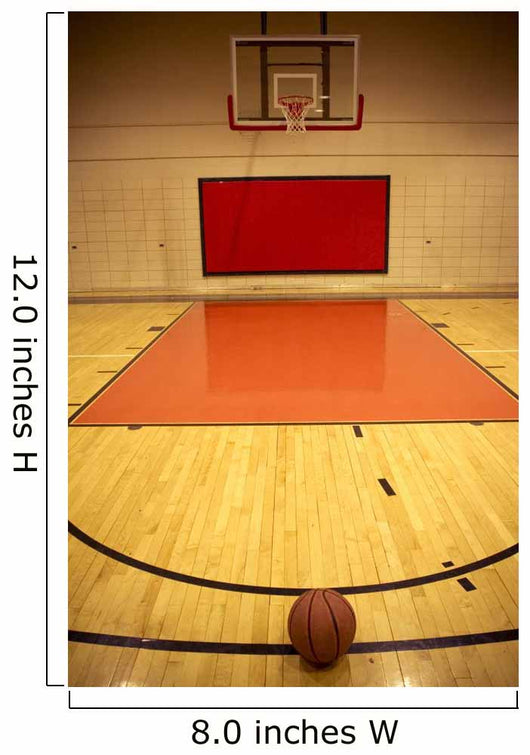 a basketball in field Wall Mural