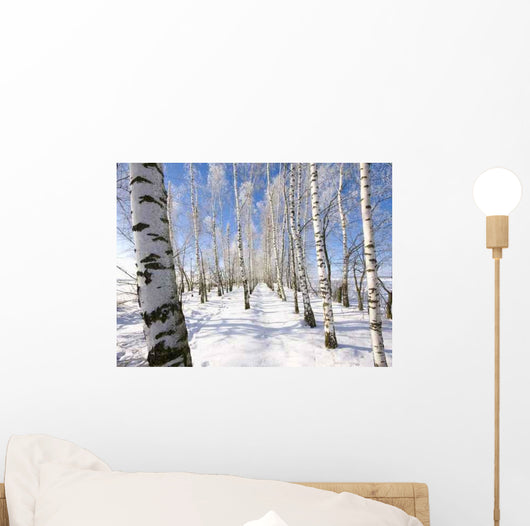 Frozen Birch Alley Winter Wall Decal Design 2