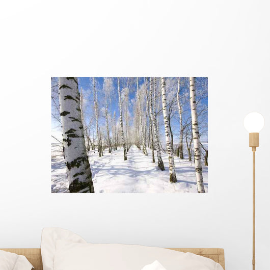 Frozen Birch Alley Winter Wall Decal Design 2