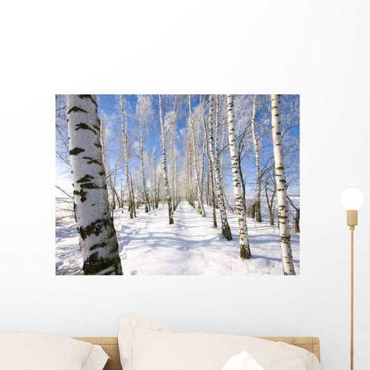 Frozen Birch Alley Winter Wall Decal Design 2