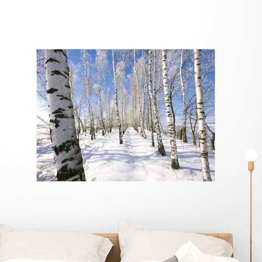 Frozen Birch Alley Winter Wall Decal Design 2