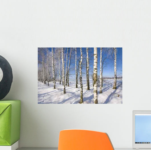 Frozen Birch Alley Winter Wall Decal Design 1