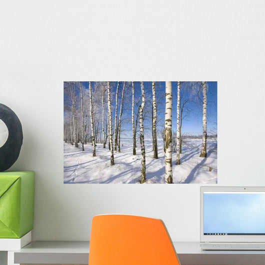 Frozen Birch Alley Winter Wall Decal Design 1