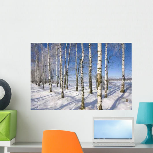 Frozen Birch Alley Winter Wall Decal Design 1