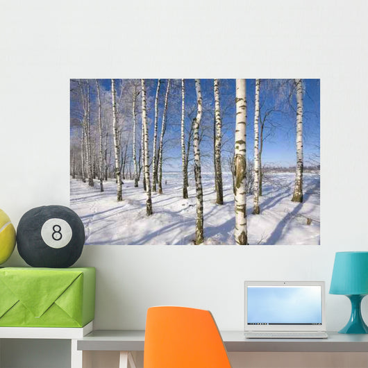 Frozen Birch Alley Winter Wall Decal Design 1