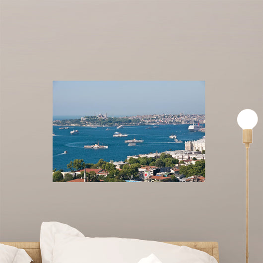 View of Bosphorus in Istanbul, Turkey Wall Mural