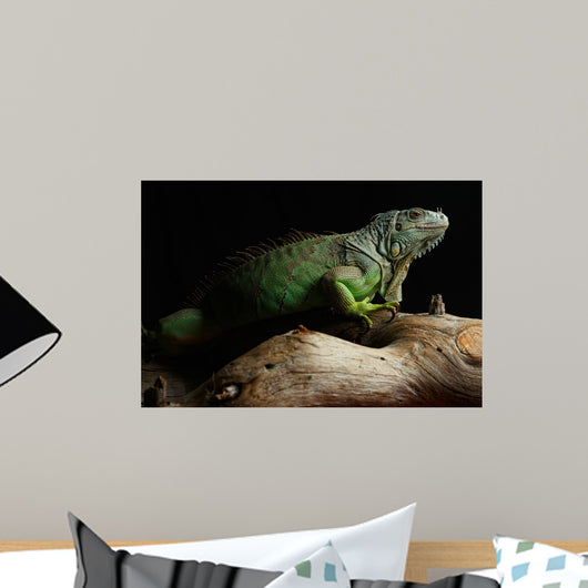Green Iguana on branch Wall Mural