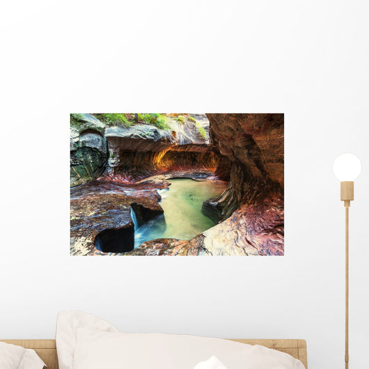 Canyon in Zion Wall Mural