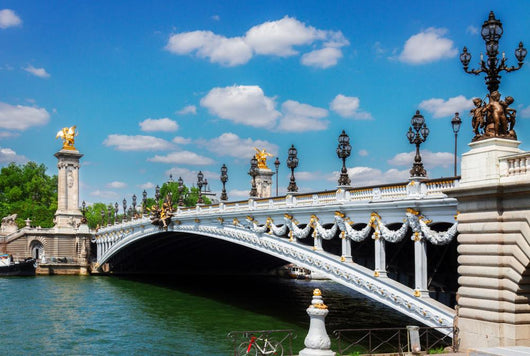 Bridge of Alexandre III in  Paris, France Wall Decal