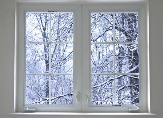 Winter Window Wall Mural