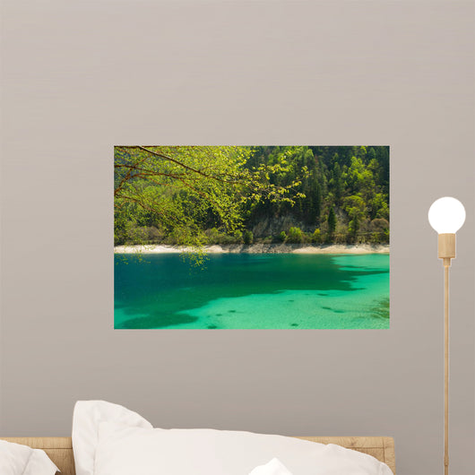 Panda Lake in Jiuzhaigou National Park, Sichuan Province Wall Mural