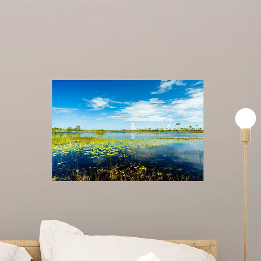 Florida Nature Preserve Wall Mural