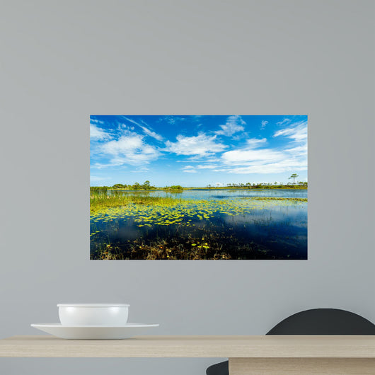 Florida Nature Preserve Wall Mural