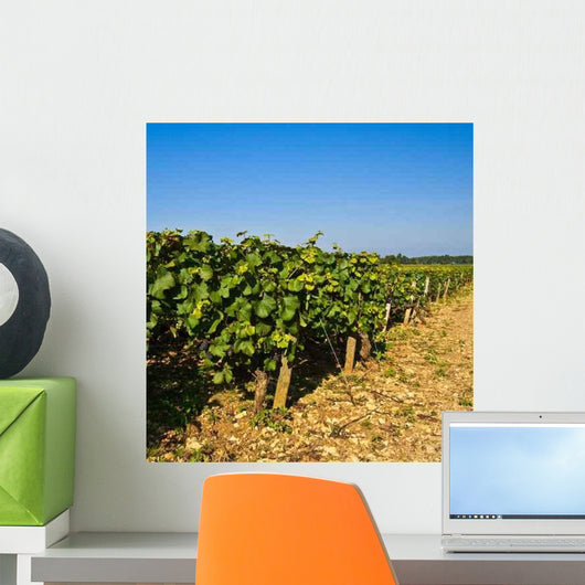 Vineyards Burgundy Pinot Black Wall Decal
