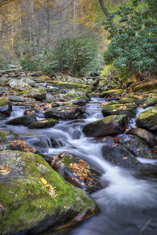 Mountain Stream Wall Mural