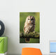 Eurasian Tawny Owl 2 Wall Mural